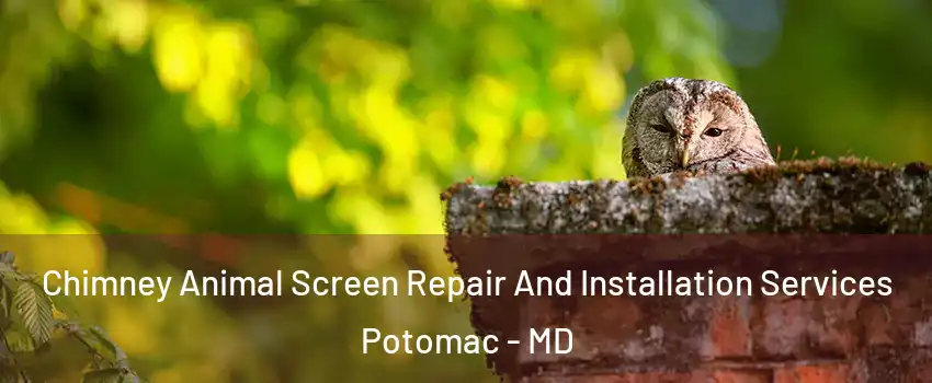  Chimney Animal Screen Repair And Installation Services Potomac - MD
