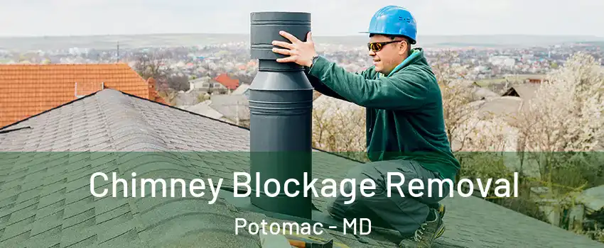  Chimney Blockage Removal Potomac - MD