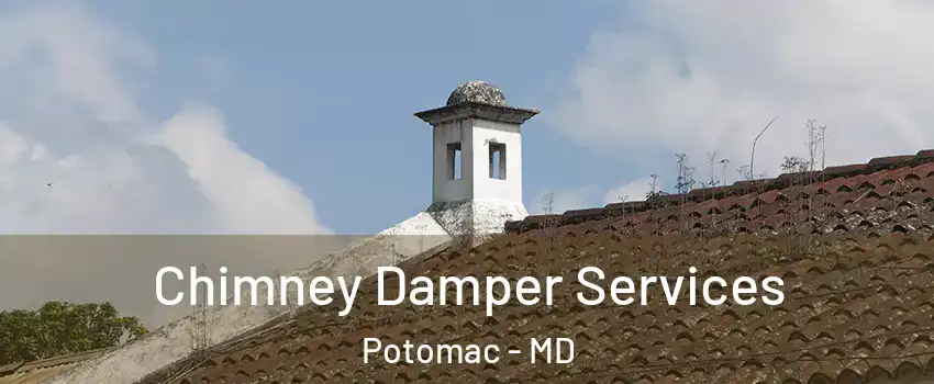  Chimney Damper Services Potomac - MD