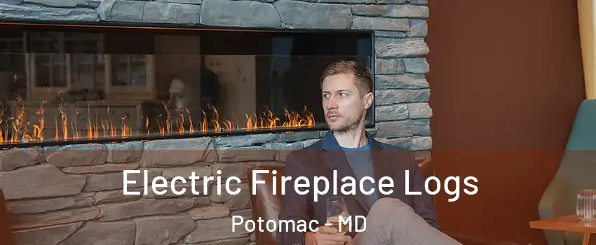 Electric Fireplace Logs Potomac - MD