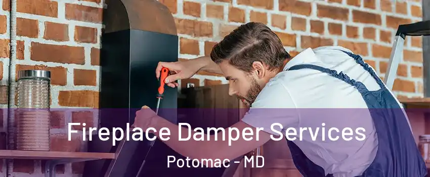  Fireplace Damper Services Potomac - MD
