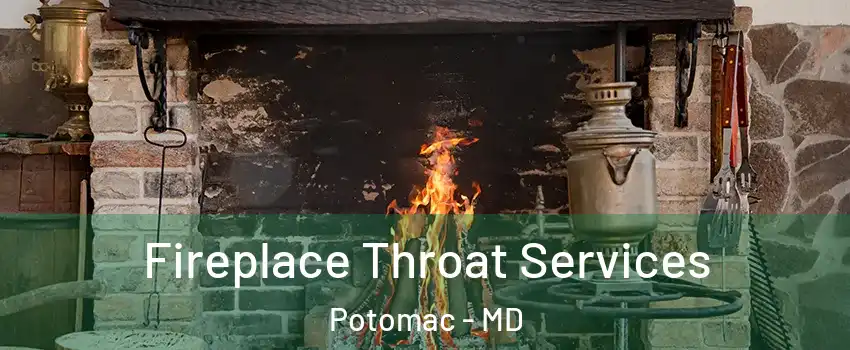  Fireplace Throat Services Potomac - MD