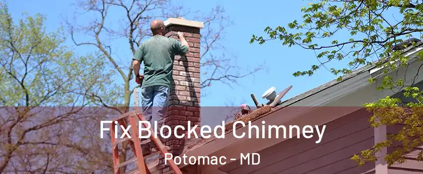  Fix Blocked Chimney Potomac - MD