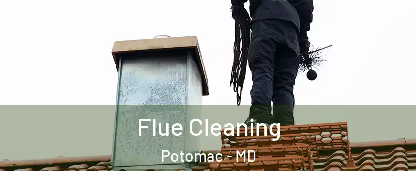  Flue Cleaning Potomac - MD