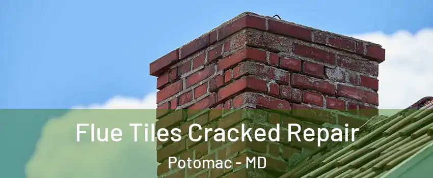  Flue Tiles Cracked Repair Potomac - MD