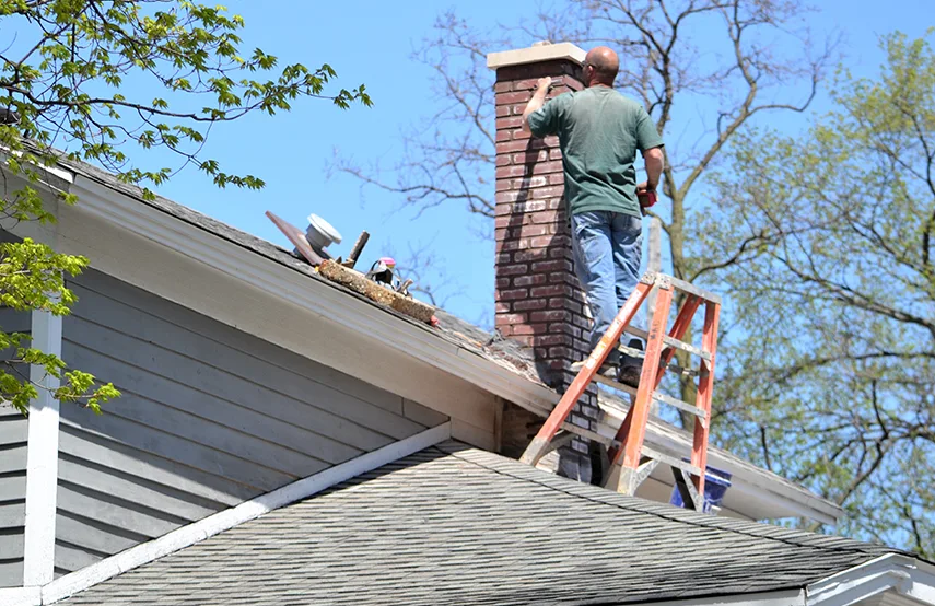 Chimney & Fireplace Inspections Services in Potomac, MD