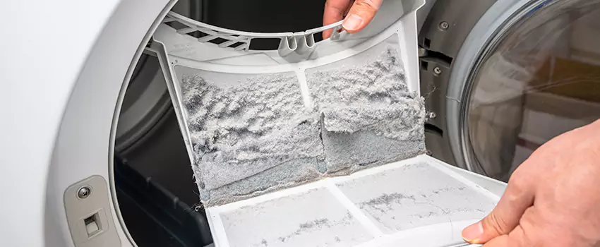 Best Dryer Lint Removal Company in Potomac, Maryland