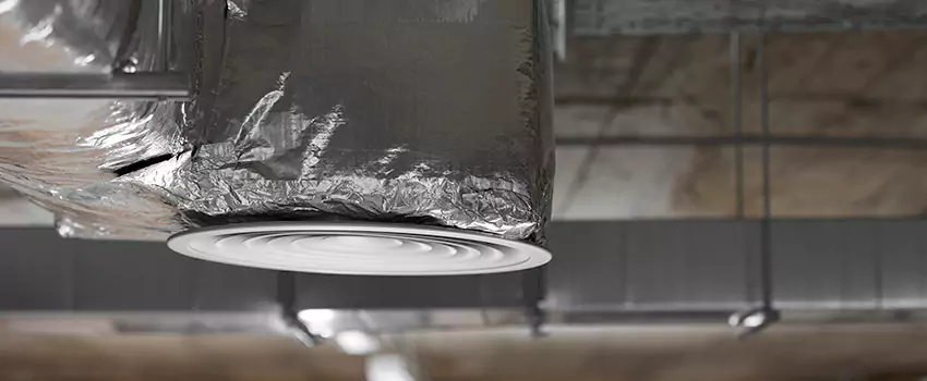 Signs of Dust Accumulation in Vents in Potomac, MD
