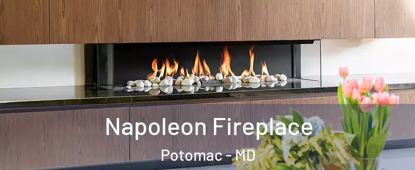 Napoleon Fireplace Potomac - MD