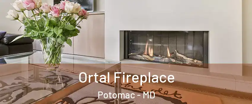 Ortal Fireplace Potomac - MD